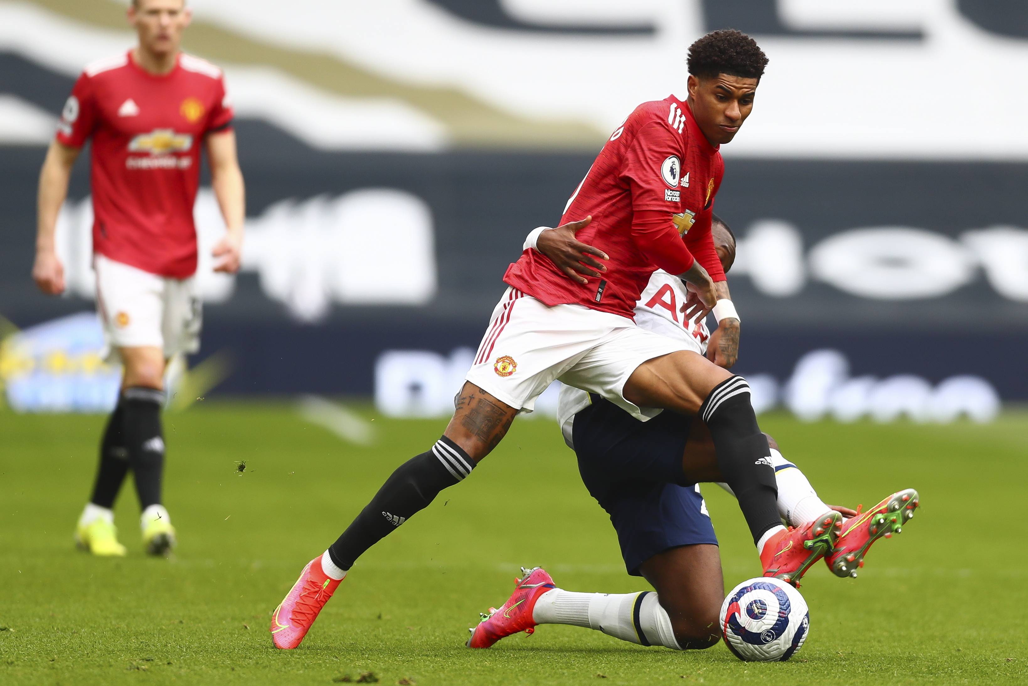 他们并未选 他们并未选